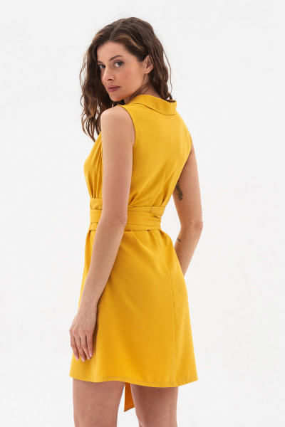 Сукня міні гірчичного кольору Ланет Сукня міні гірчичного кольору Ланет